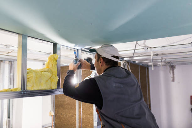 Best Cellulose Insulation in Altoona, WI
