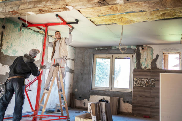 Best Eco-Friendly Insulation in Altoona, WI