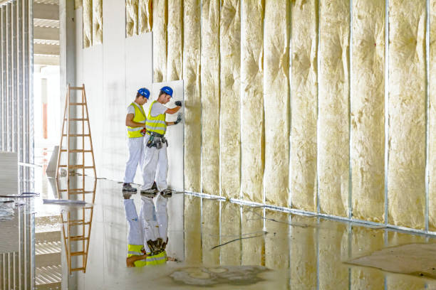 Best Blown-in Insulation in Altoona, WI